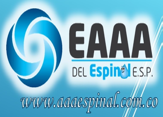 Nuevo Manual de Contratación de la EAAA del Espinal ESP